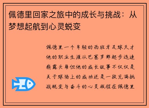 佩德里回家之旅中的成长与挑战：从梦想起航到心灵蜕变