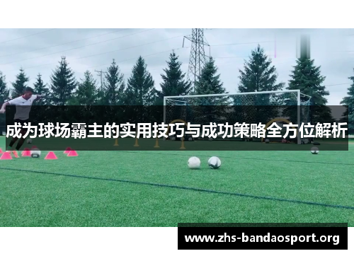 成为球场霸主的实用技巧与成功策略全方位解析