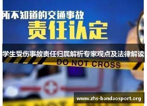 学生受伤事故责任归属解析专家观点及法律解读