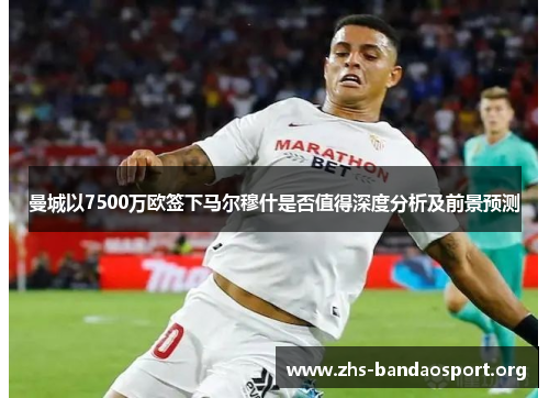 曼城以7500万欧签下马尔穆什是否值得深度分析及前景预测