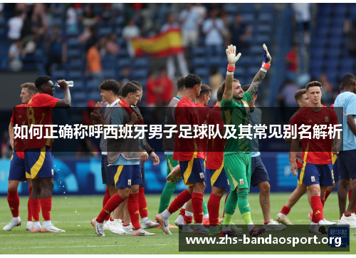 如何正确称呼西班牙男子足球队及其常见别名解析