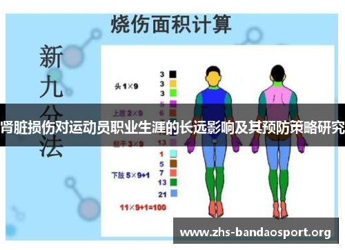 肾脏损伤对运动员职业生涯的长远影响及其预防策略研究 肾脏损伤对运动员职业生涯的长远影响及其预防策略研究