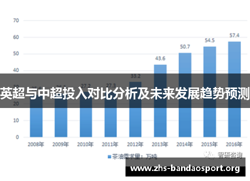 英超与中超投入对比分析及未来发展趋势预测