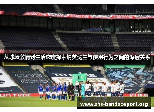 从球场激情到生活态度探索纳英戈兰与使用行为之间的深层关系